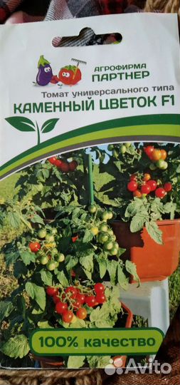 Рассада помидор и баклажан
