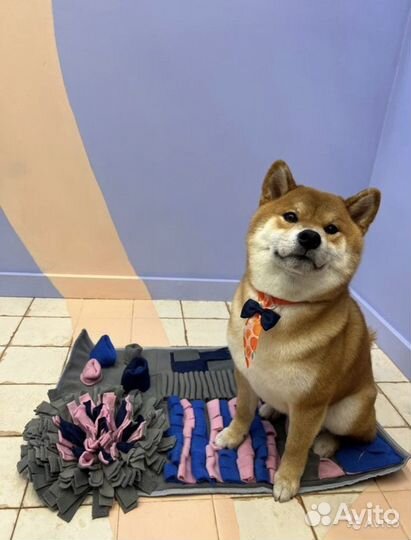 Нюхательный коврик, игровой для собак 50*50 см