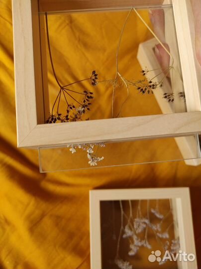 Рамки для гербария, фото