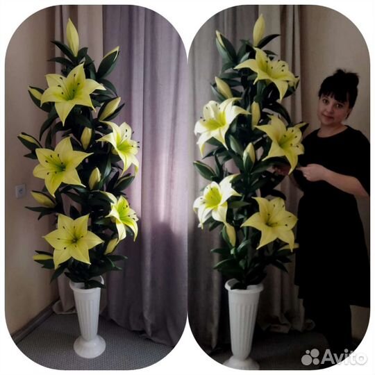 Интерьерные цветы