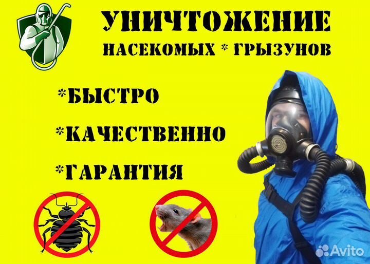 Уничтожение насекомых