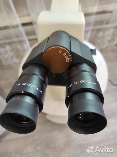 Микроскоп LW Scientific