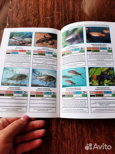 Книга про аквариум и аквариумных рыбок