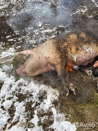 Колбаса натуральная деревенская