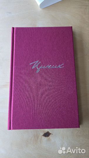 Циник. Роман в стихах. Игорь Литвак