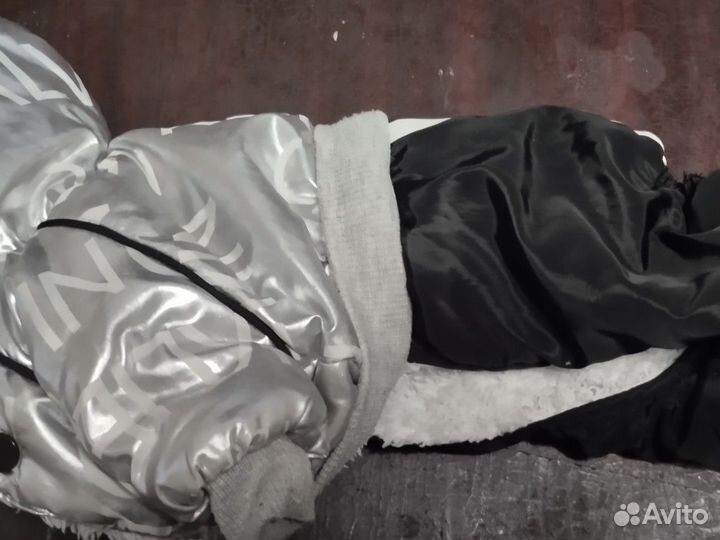 Зимний комбинезон для маленькой собаки