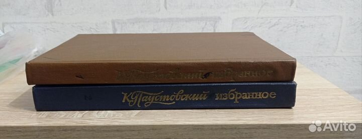 Паустовский. Избранные произведения в 2 томах