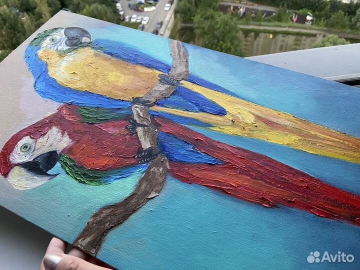 Картина маслом Попугаи Ара 50х30