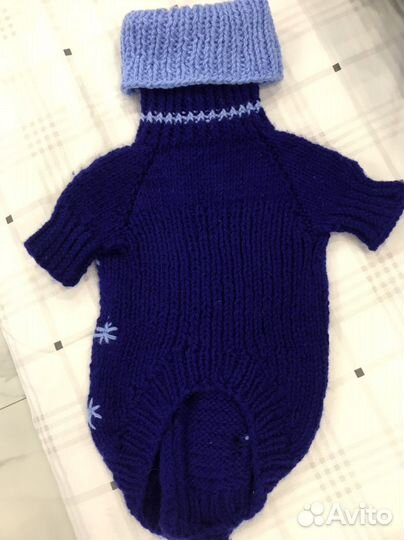 Одежда для собак