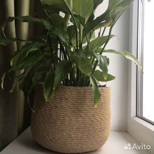 Кашпо из джута