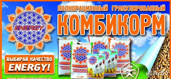 Старт Рост Финиш