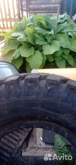 Amtel 31В 5/7 R12