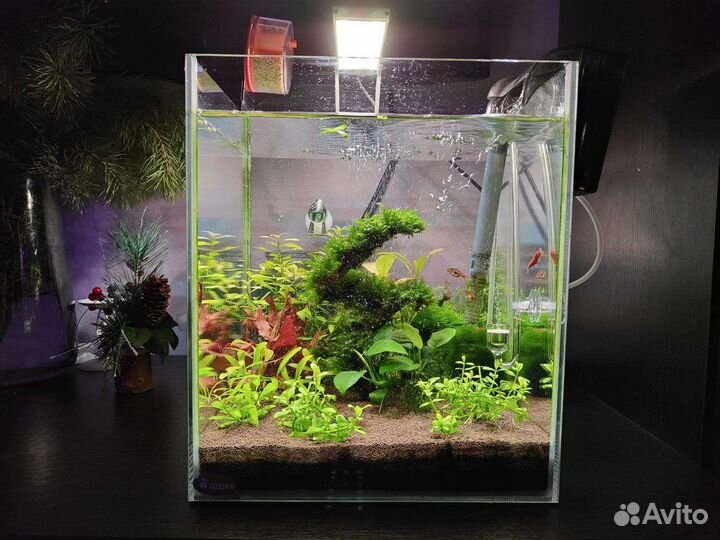 Аквариум