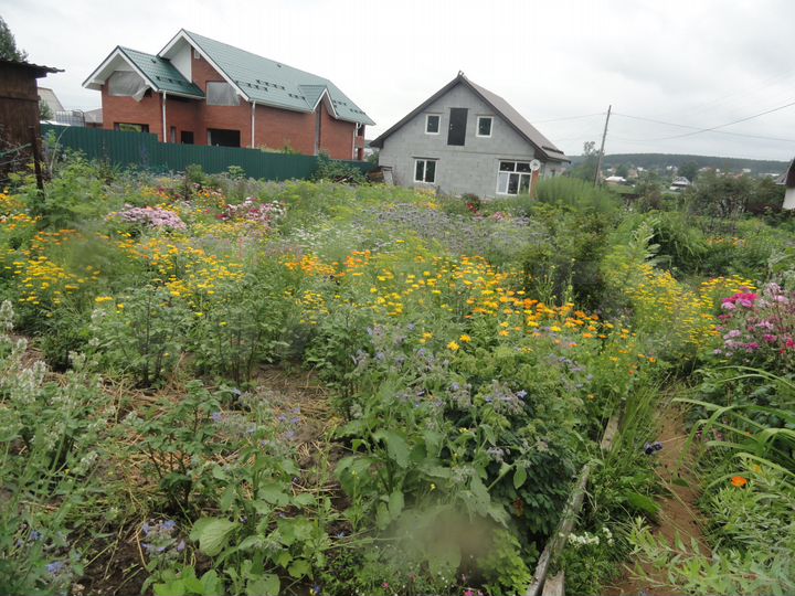 Дом 170 м² на участке 14 сот.