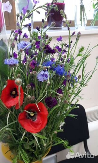 Полевые цветы (букет)