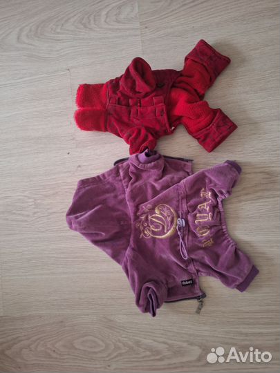 Одежда для собак мелких пород