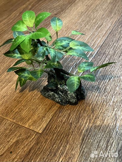 Деревце бансай в камне ширина 6см высота 12см