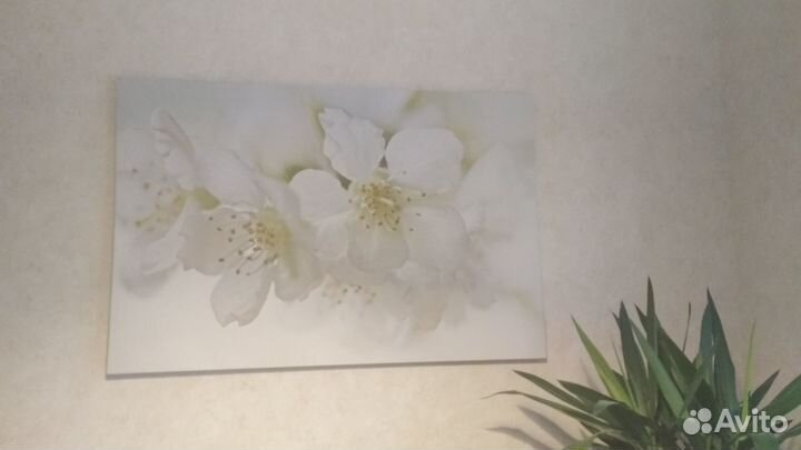 Картина Икея пьеттерид IKEA Pjatteryd Цветы