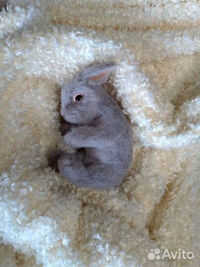 Кролик игрушка ручной работы на заказ