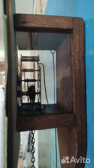 Ходики утро в сосновом бору