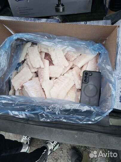 Филе трески сухая заморозка