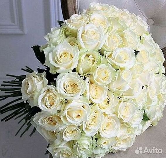 Высокие Высокие розы Гигантские розы Букеты Достав