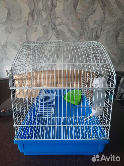 Клетка для грызунов