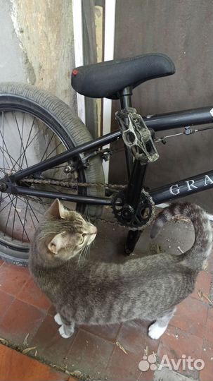 Велосипед BMX TT Grasshopper