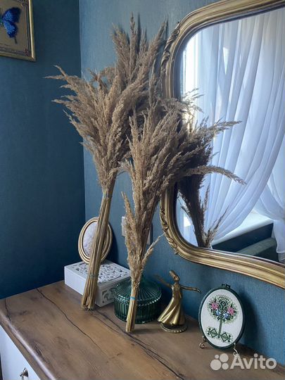 Пампасная трава. Сухоцвет. Декор