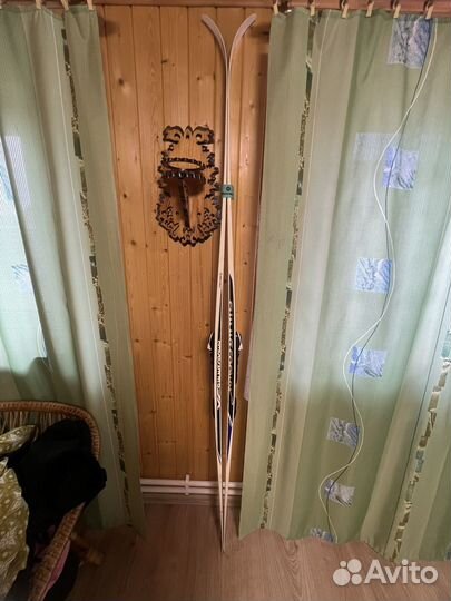 Беговые лыжи fischer