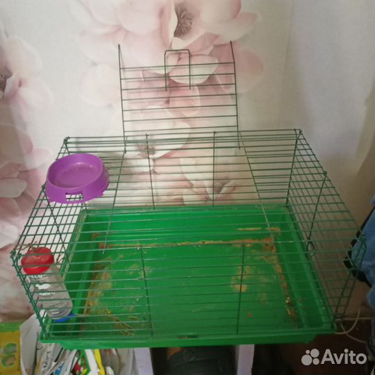 Клетка для грызунов