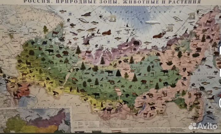Карта природных зон России