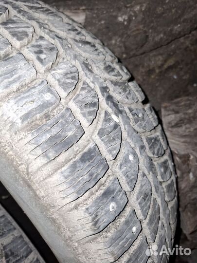 Pirelli Formula Ice 195/65 R16 и 185/65 R16