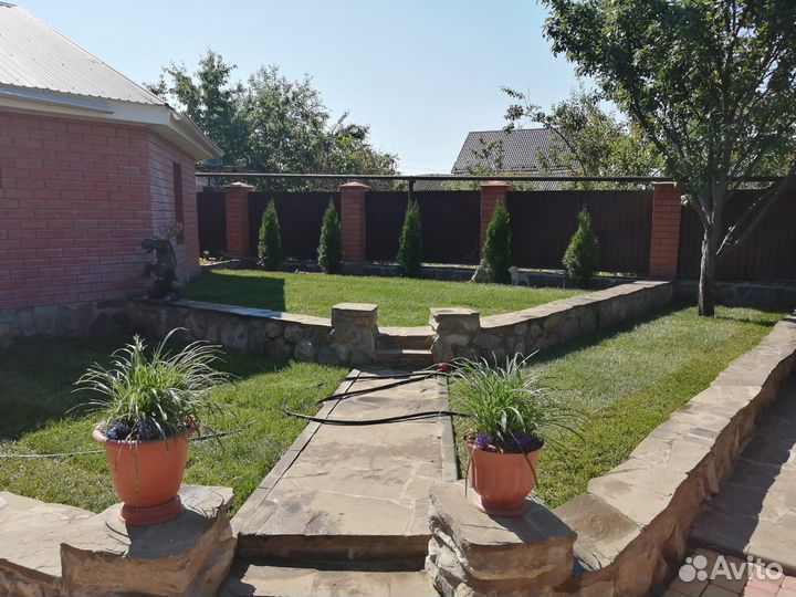 Рулонный газон