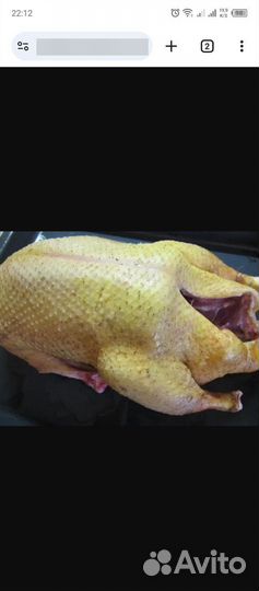 Индоутка тушка