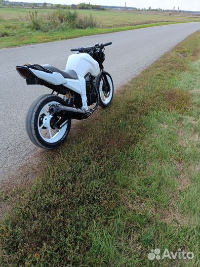 Рейсер нитро