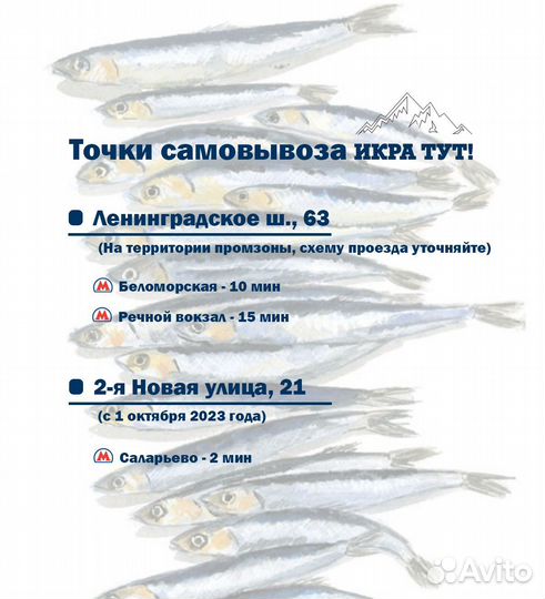 Слабосоленая семга Кусок 300 грамм