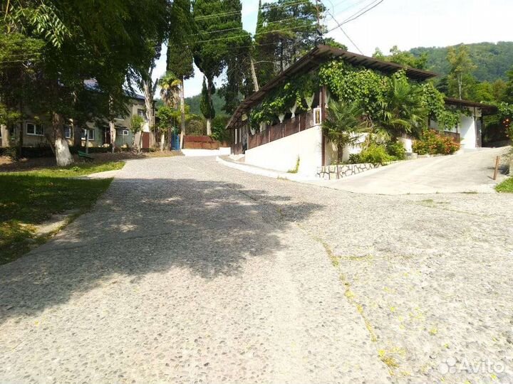 Отдых на черном море в Абхазии