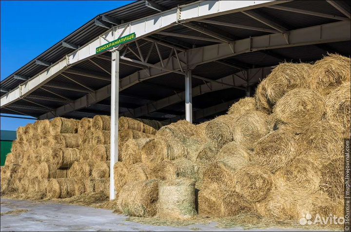 Сено погожее луговое