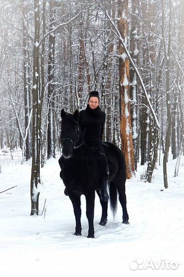 Конные прогулки, обучение верховой езде