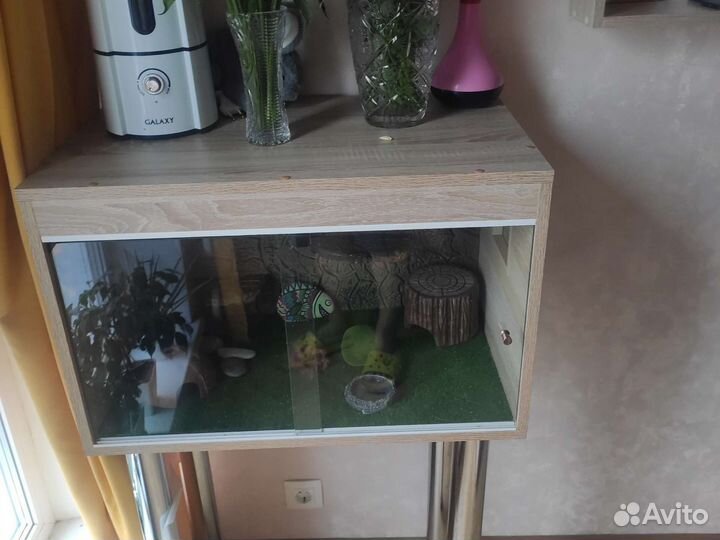 Террариум для рептилий