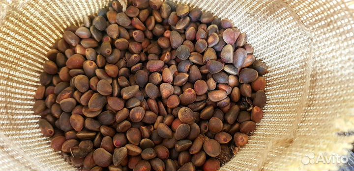 Кедровый орех неочищенный крупный калиброванный