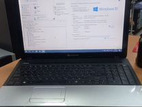 Ноутбук 15,6" Packard Bell