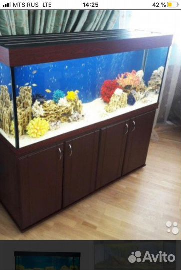 Аквариум новый 240л и много других