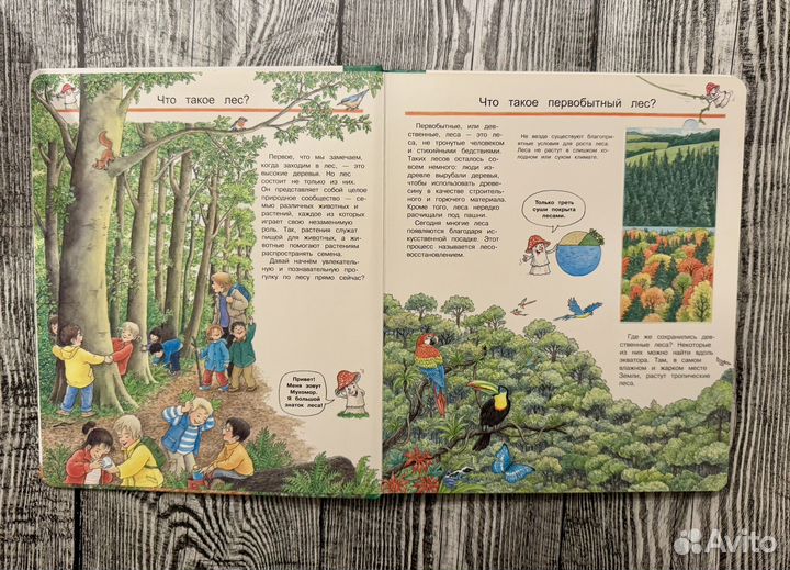 Что Почему Зачем Мы изучаем лес