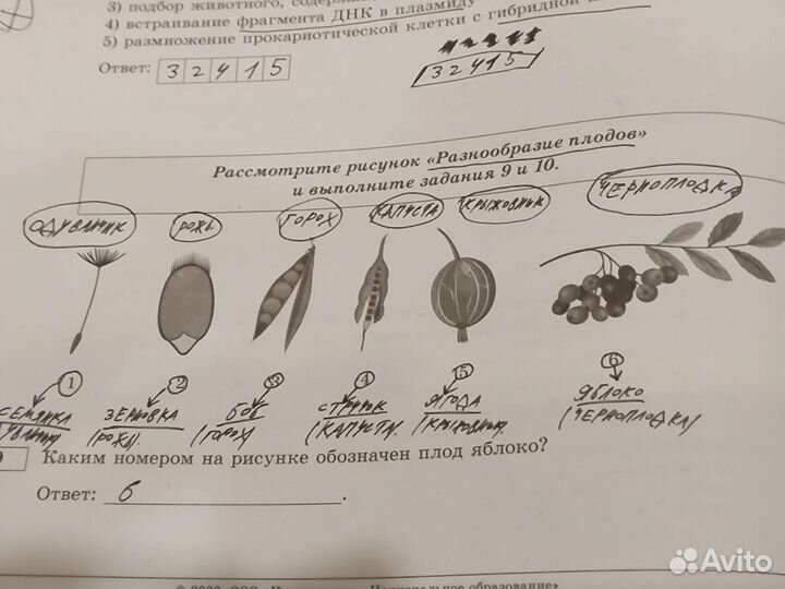 Сборники для егэ Биология
