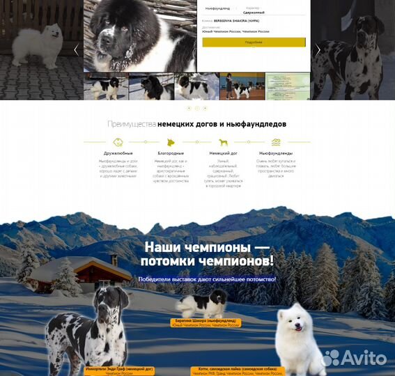 Разработка, Продвижение Сайтов. Частник. Челябинск