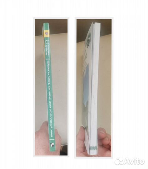 Плешаков. Великан на поляне