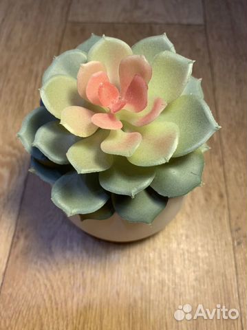 Соккулент искусственный