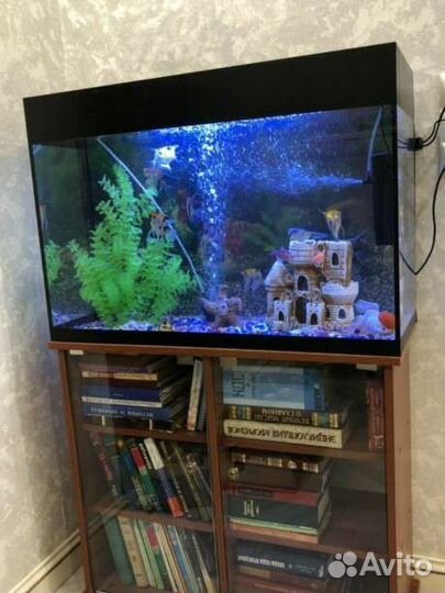 Аквариумы